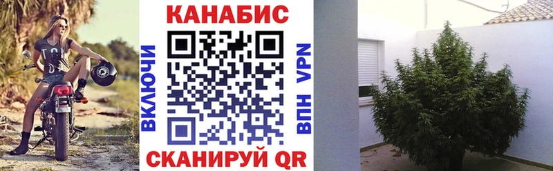 МАРИХУАНА ГИДРОПОН Чёрмоз